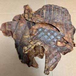 Large Pig Stomach Slices (Singles)