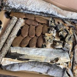 Natural Grain Free Hypoallergenic Sensitive Dog Treat Ocean Feast Box (Letterbox)