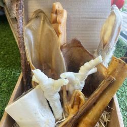 Boredom Box Dog Treat Natural Chew Bundle