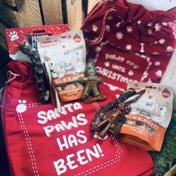 Christmas Treat Filled Goodie Bag For Dogs