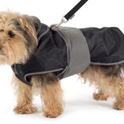 Ancol Muddy Paws 2-in-1 Harness Coat