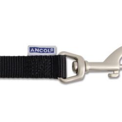 Ancol Nylon Dog Lead 19mm x 1metre Black