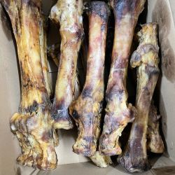 Large Roast Beef Leg Bone Dog Chew (Singles)