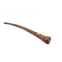 Large Buffalo Tail Natural Dog Chew
