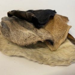 Goats Ears With Hair/Fur Natural Dog Treat Chew