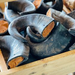 Meat Filled Buffalo Horn Dog Chew