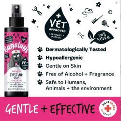 Bugalugs Antiseptic First Aid Spray 200ml