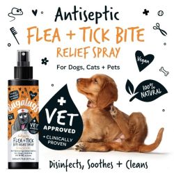 Bugalugs Antiseptic Flea & Tick Spray 200ml