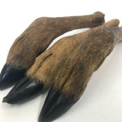 Venison Leg With Fur Natural Dog Treat (Approx 20-30cm)