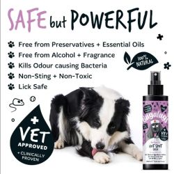 Bugalugs Antiseptic Hot Spot Spray 200ml