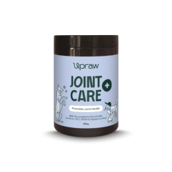 Upraw Joint Care+ Supplement Powder 160g