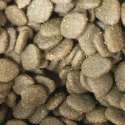 Super Premium Hypo-Allergenic Large Breed Puppy Salmon & Potato