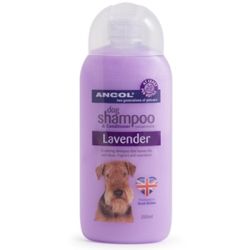 Ancol Lavender Shampoo 200ml