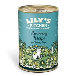 Lily’s kitchen Recovery Recipe For Poorly Dogs 400g