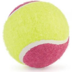 Ancol Mega Tennis Ball Dog Toy 10cm