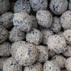 Top Quality Wild Bird Fat Balls Without Nets
