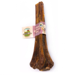 Paddock Farm Ostrich Metatarsus Bone