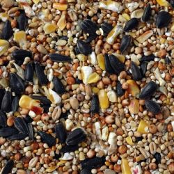 Rock View Quality Premium Wheat Free Wild Bird Seed 20kg Only £22.99