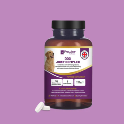 ProWise Dog Joint Supplement 150 Chewable Tablets