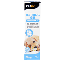 VetIQ Puppy Teething Gel 50g