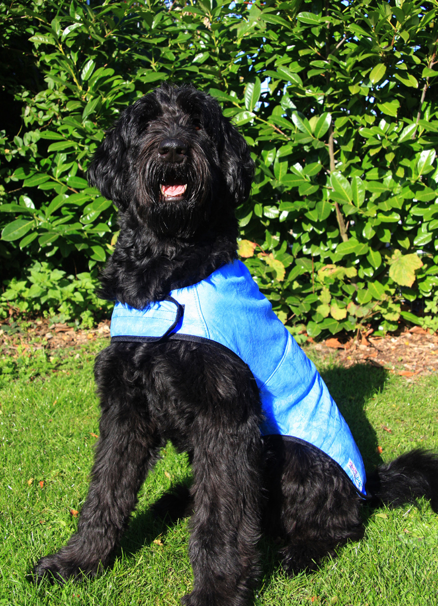 Dog cooling hot sale coats uk