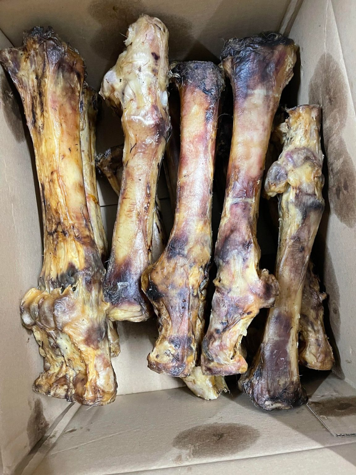 Large Roast Beef Leg Bone Dog Chew (Singles)