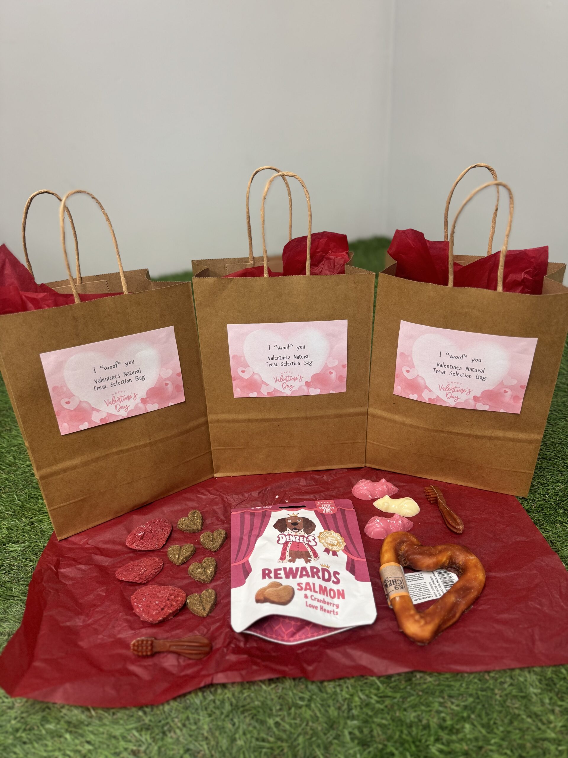Valentines Day Dog Natural Treat Selection Bag
