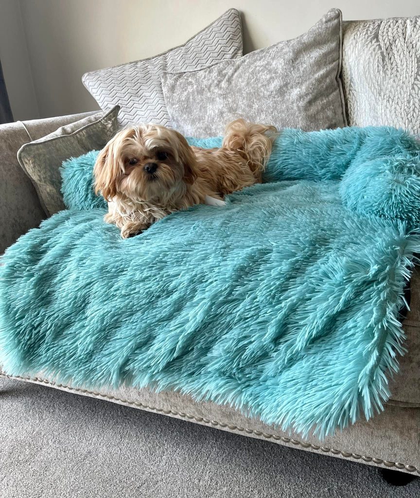 Luxury Plush Sofa Style Dog Bed Teal Pets Take Away Retail Store